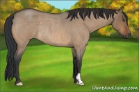 Horse Color:Bay Roan Dun Frame Rabicano 