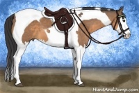 Horse Color:Buckskin Splash Tobiano 