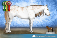Horse Color:White Spotted Brown Pearl Sabino Splash