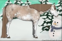 Horse Color:Black Ice Pearl Sabino 