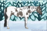 Horse Color:White Spotted Smoky Grullo Tobiano
