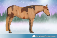 Horse Color:Brown  Brindle