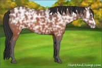 Horse Color:Brown Ice Splash Brindle