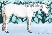 Horse Color:Black Pearl Sabino Splash Tobiano Appaloosa Brindle