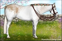 Horse Color:White Spotted Silver Black Pearl Sabino  Brindle