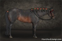 Horse Color:Brown Rabicano Brindle