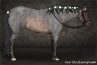 Horse Color:Brown Roan Brindle
