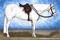 Horse Color:Silver Brown Sabino Appaloosa 