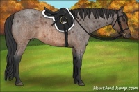 Horse Color:Brown Roan
