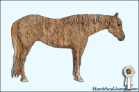 Horse Color:Silver Black  Brindle