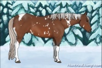 Horse Color:White Spotted Silver Bay Tobiano