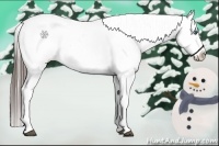 Horse Color:White Spotted Blue Roan Splash Frame Appaloosa 