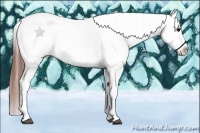 Horse Color:White Spotted Grullo Splash Tobiano Frame Appaloosa