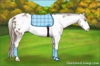 Horse Color:White Spotted Classic Champagne Roan Splash Frame Appaloosa Rabicano 