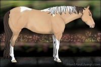 Horse Color:Amber Champagne Tobiano 