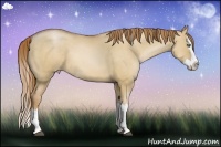 Horse Color:Red Dun Roan Pearl Sabino Splash 