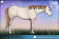 Horse Color:Red Dun Roan Pearl Sabino Splash 