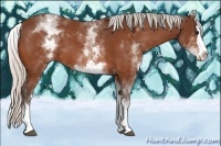 Horse Color:White Spotted Silver Bay Splash