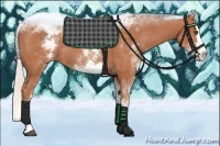 Horse Color:White Spotted Silver Bay Roan Splash