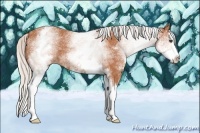 Horse Color:White Spotted Silver Bay Splash 