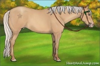 Horse Color:Silver Amber Champagne Roan Frame 