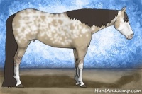 Horse Color:Liver Red Dun Ice Sabino