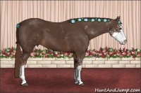 Horse Color:Liver Chestnut Sabino 