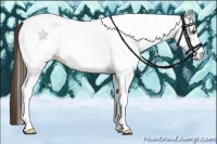 Horse Color:White Spotted Liver Chestnut Sabino 