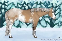 Horse Color:White Spotted Silver Bay Dun Sabino Splash 