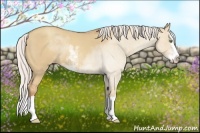 Horse Color:Silver Classic Champagne Dun Sabino Splash