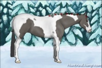 Horse Color:Grullo Sabino Tobiano 