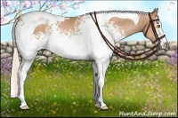 Horse Color:White Spotted Silver Brown Pearl Tobiano 