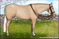 Horse Color:Silver Bay Pearl Sabino Rabicano