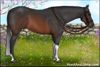 Horse Color:Brown Tobiano