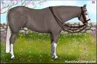 Horse Color:Silver Black Sabino Splash