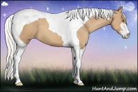 Horse Color:Silver Classic Champagne Sabino Tobiano 