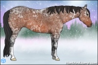 Horse Color:Bay Ice 