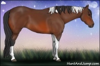 Horse Color:Bay Tobiano