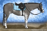 Horse Color:White Spotted Grullo Splash Tobiano 