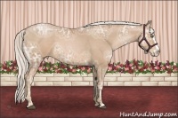 Horse Color:Silver Black Ice Pearl Sabino Splash Frame