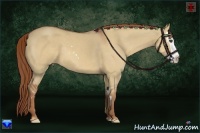 Horse Color:Red Dun Sabino Splash Frame