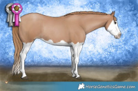 Horse Color:Black Pearl Splash Rabicano