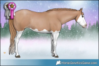 Horse Color:Black Pearl Splash Rabicano