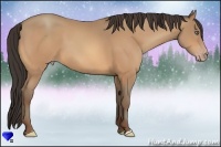 Horse Color:Amber Champagne 