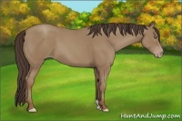 Horse Color:Classic Champagne