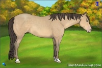 Horse Color:Amber Cream Champagne 