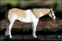 Horse Color:White Spotted Buckskin Dun 