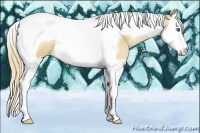 Horse Color:Red Dun Pearl Splash Tobiano