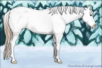 Horse Color:Smoky Black Splash Tobiano Appaloosa 