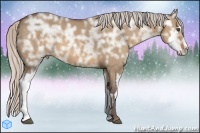 Horse Color:Silver Brown Ice Dun Sabino Splash Frame